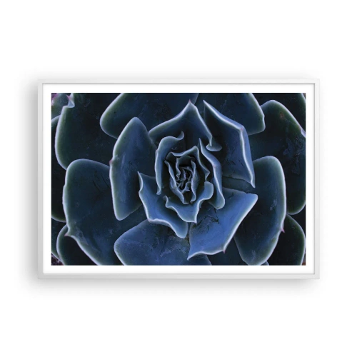 Affisch i vit ram - Öknens blomma - 100x70 cm