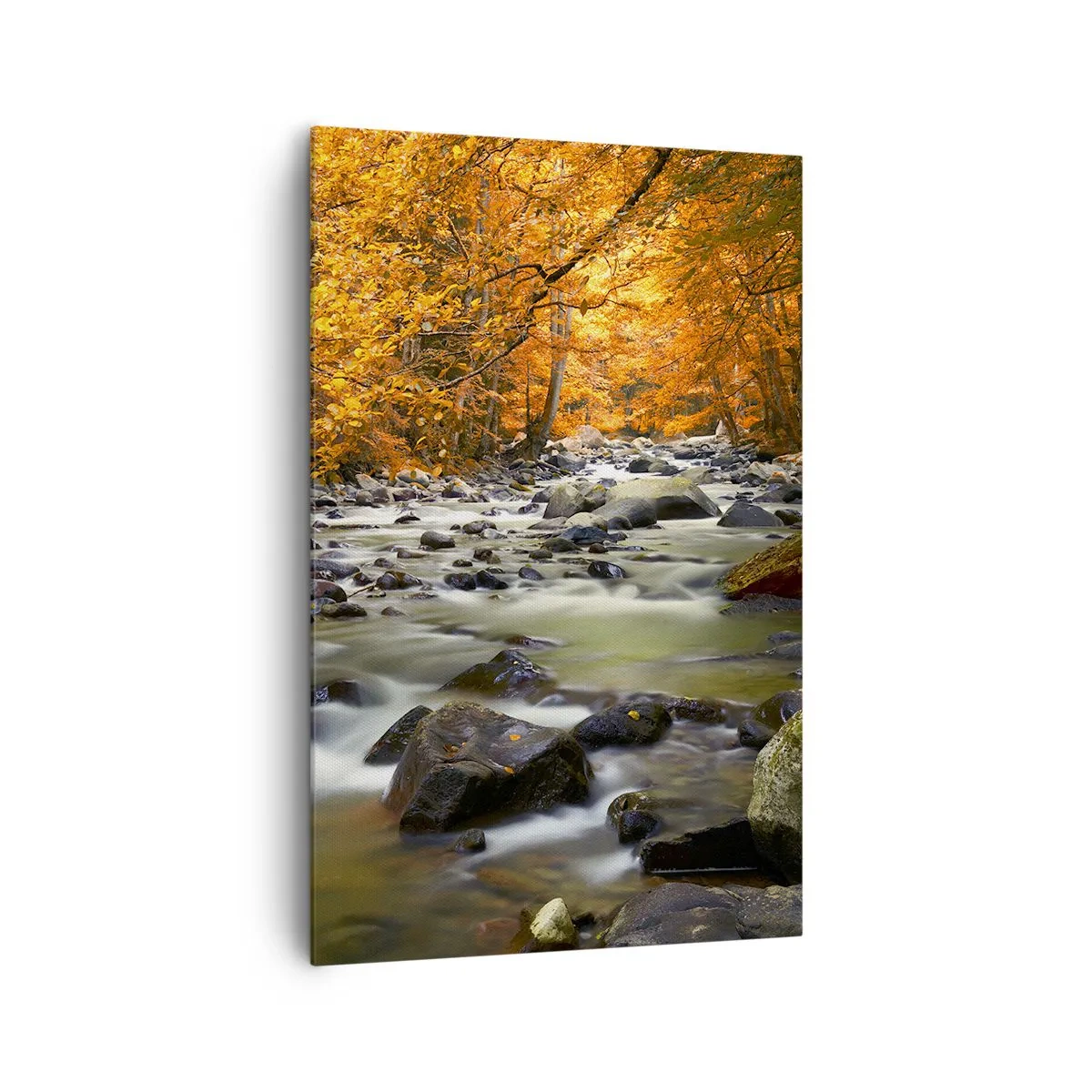 Canvastavla - Bild på duk - Bäck i guldskogen - 80x120 cm
