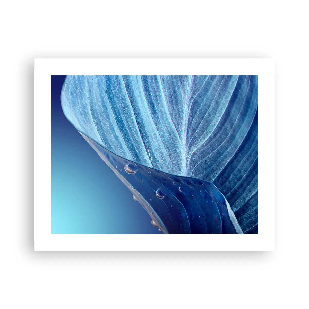 Affisch - Dolda droppar av blått - 50x40 cm