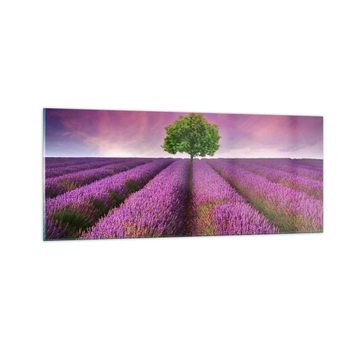 Glastavla - Bild på glas - På lavendelåkrarna - 100x40 cm