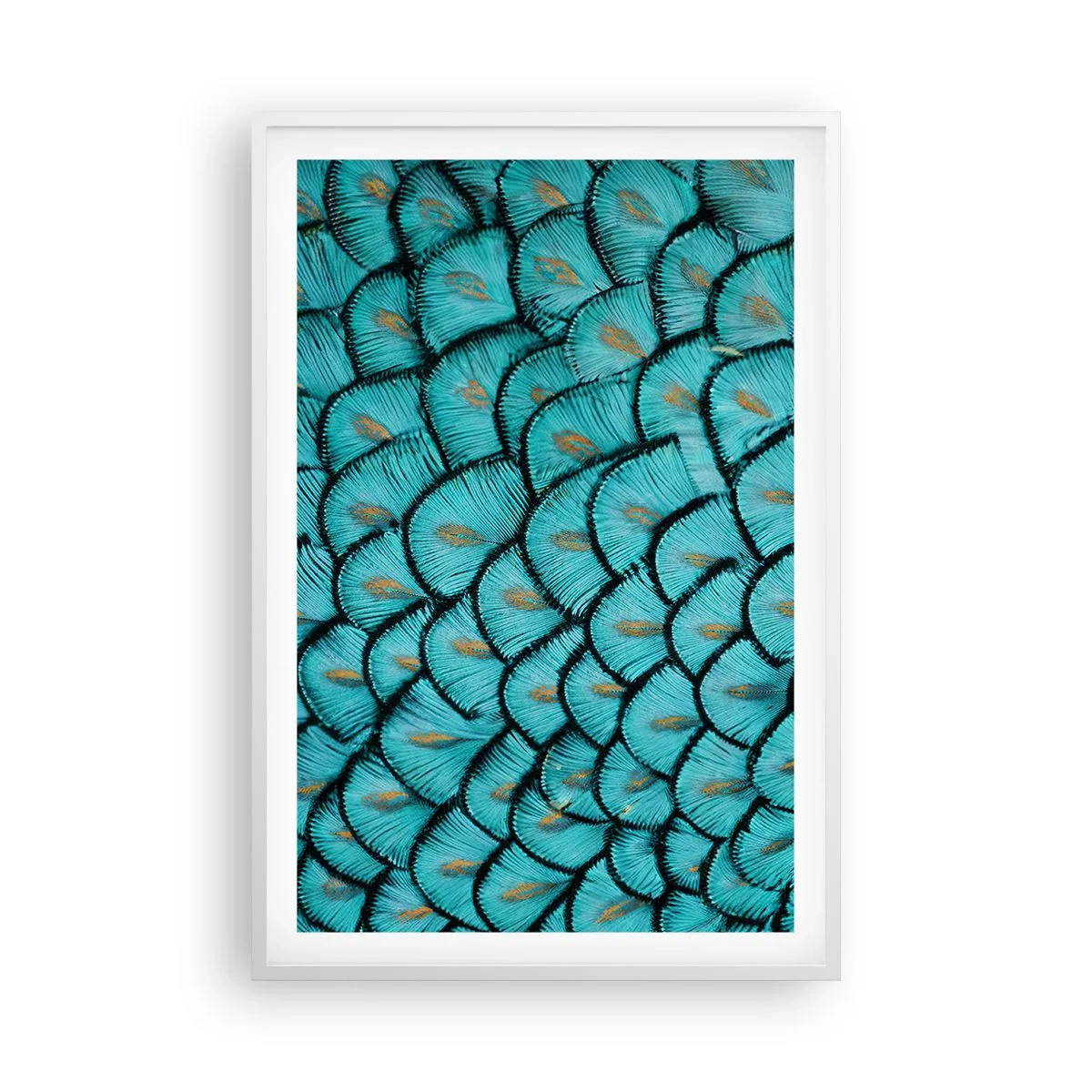 Affisch i vit ram - Den stora fjädergalan - 61x91 cm