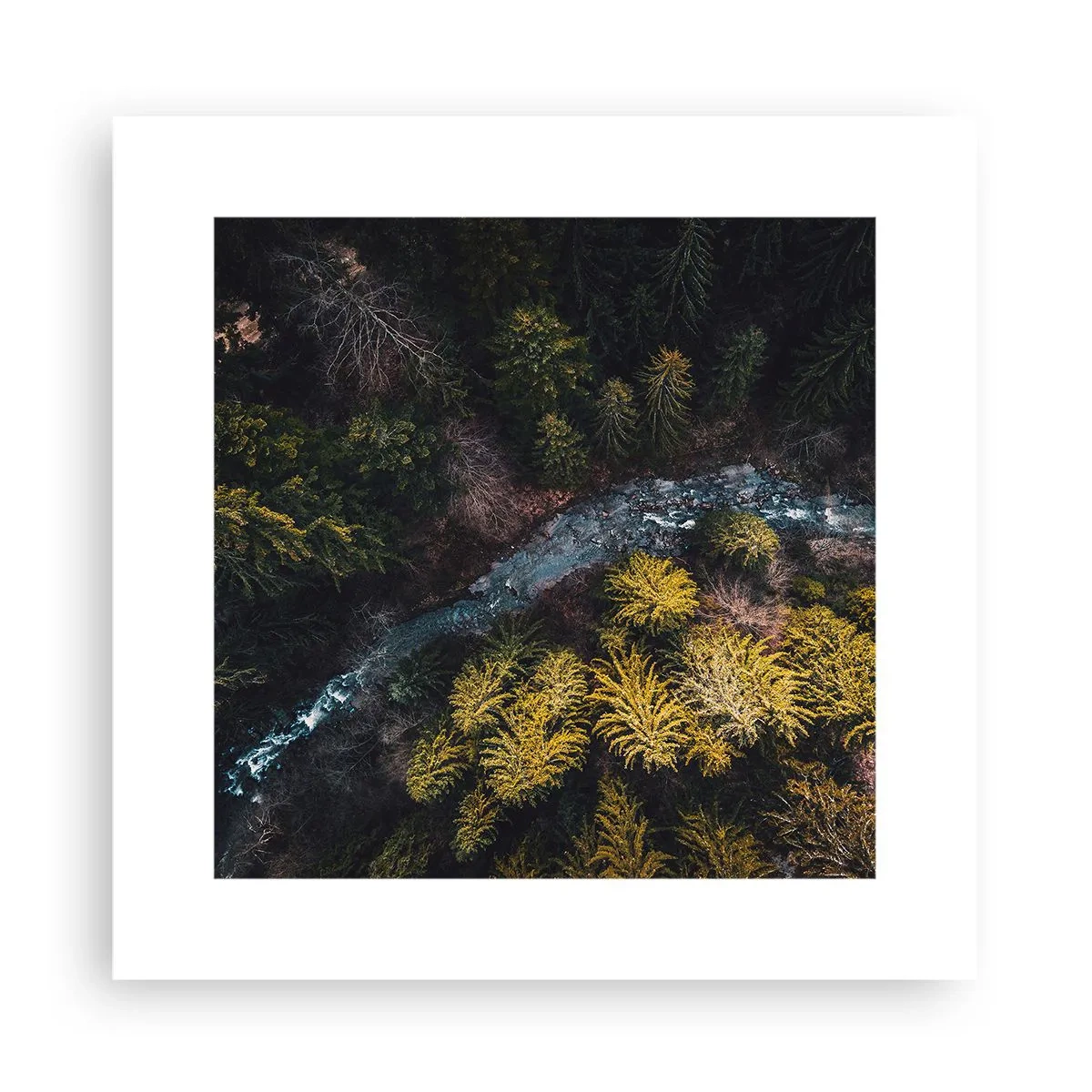 Affisch - Snabbt, allt snabbare - 30x30 cm