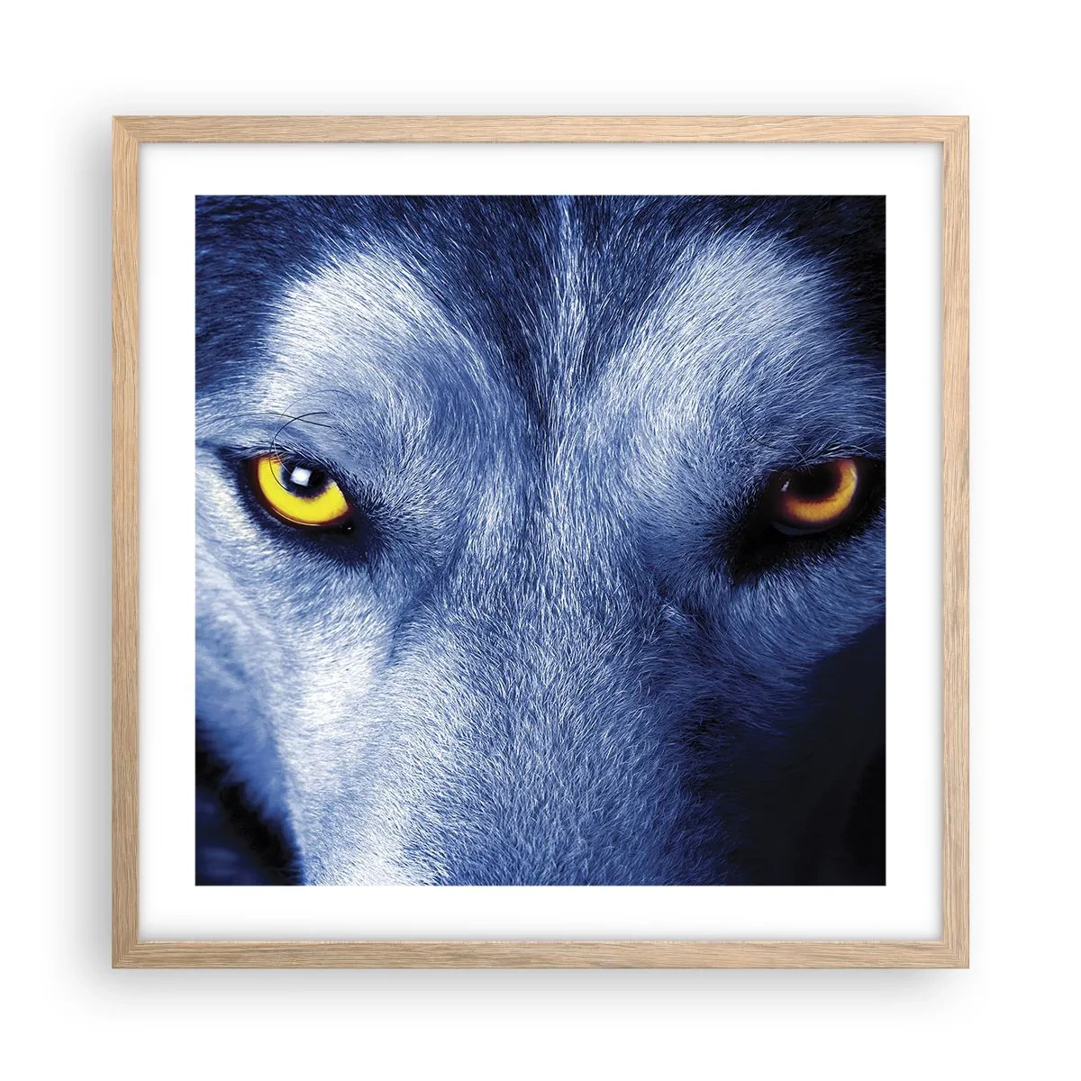 Affisch i ram av ljusek - Hypnotiserade titt - 50x50 cm