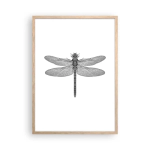 Affisch i ram av ljusek - Precision i naturen - 50x70 cm