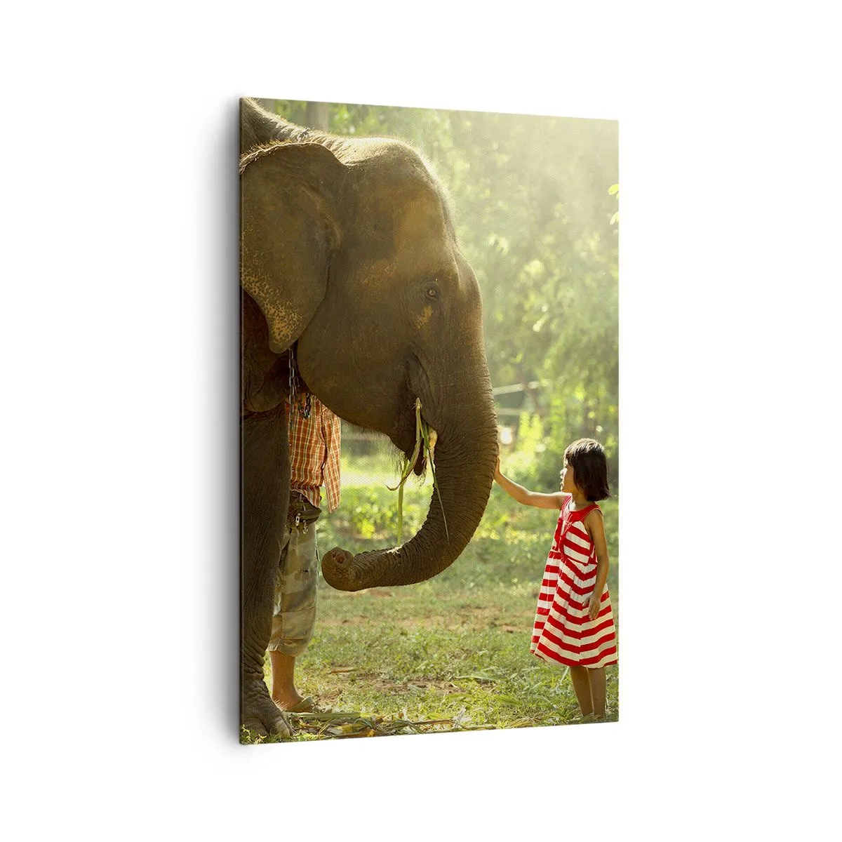 Canvastavla - Bild på duk - Vänskapens styrka - 80x120 cm