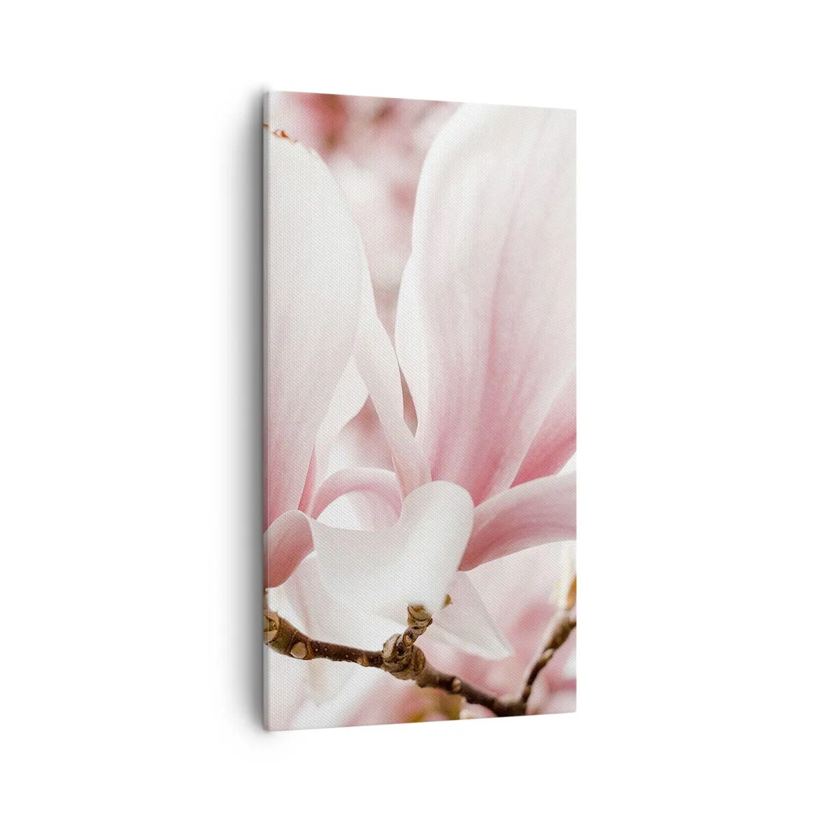 Canvastavla - Bild på duk - Oändlig känslighet - 55x100 cm