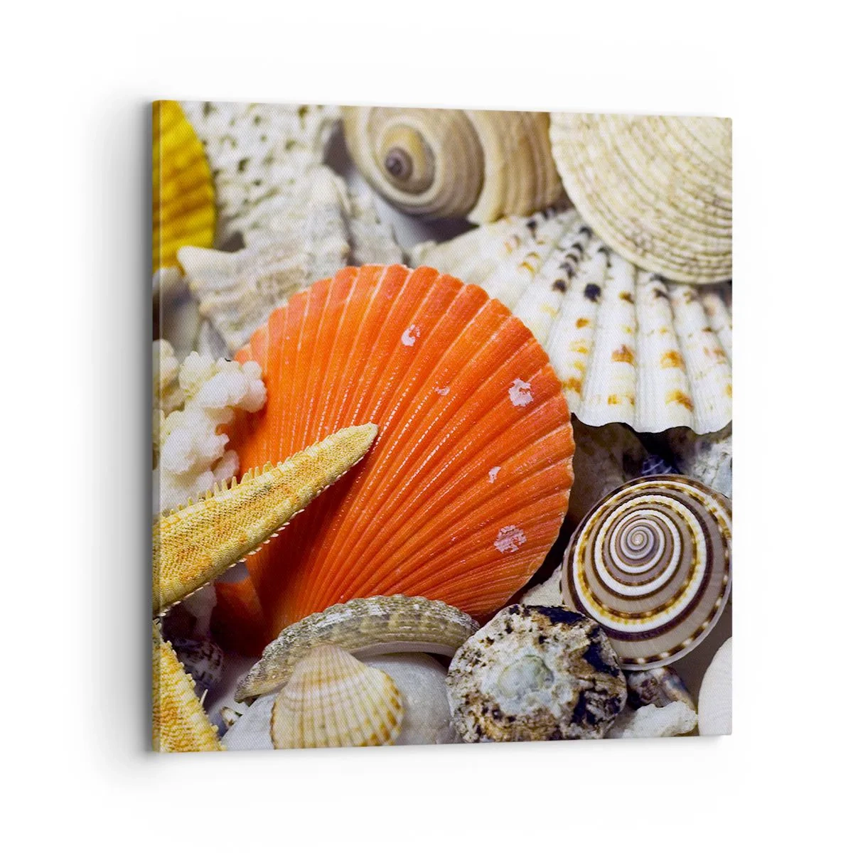 Canvastavla - Bild på duk - Havets skatter - 70x70 cm
