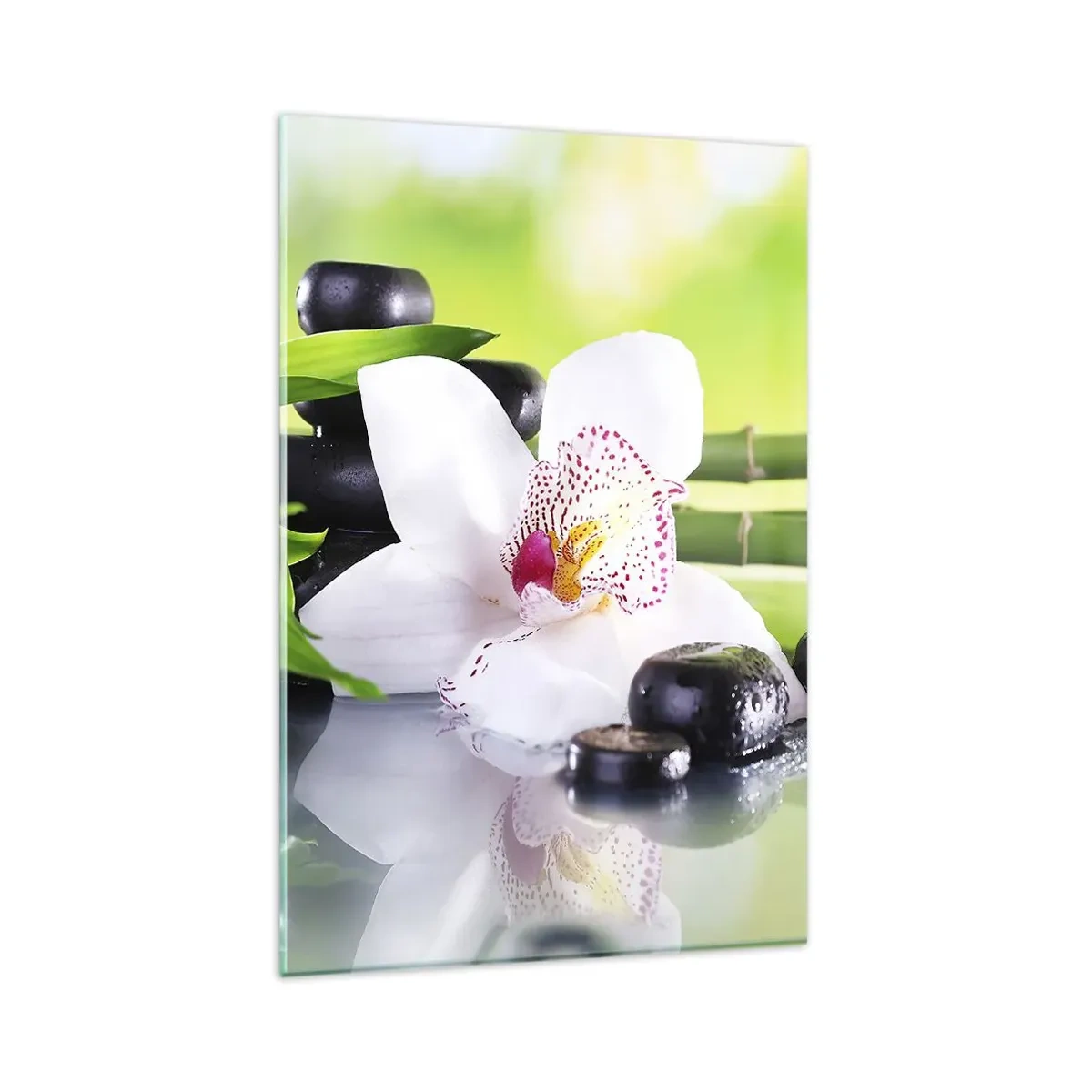 Glastavla - Bild på glas - Sval fräschhet - 80x120 cm