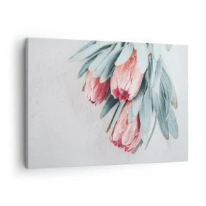 Canvastavla - Bild på duk - Subtila rosa proteablommor på en ljus bakgrund - 70x50cm - Generad av sin skönhet - Modern väggdekoration för vardagsrum och sovrum ARTTOR