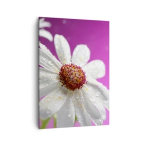 Canvastavla - Bild på duk - Sparsam i sin skönhet - 50x70 cm