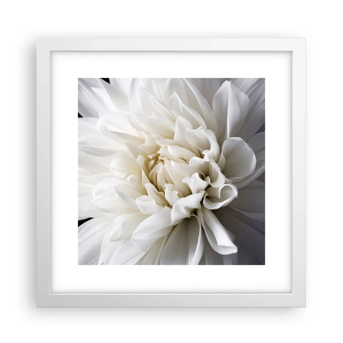 Affisch i vit ram - En bruds morgon - 30x30 cm