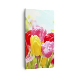 Canvastavla - Bild på duk - Det är vi, majfärgerna! - 65x120 cm