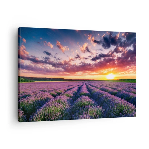 Canvastavla - Bild på duk - Ett lavendelfält vid solnedgången med en färgglad himmel - 70x50cm - Lavandelvärld - Modern väggdekoration för vardagsrum och sovrum ARTTOR