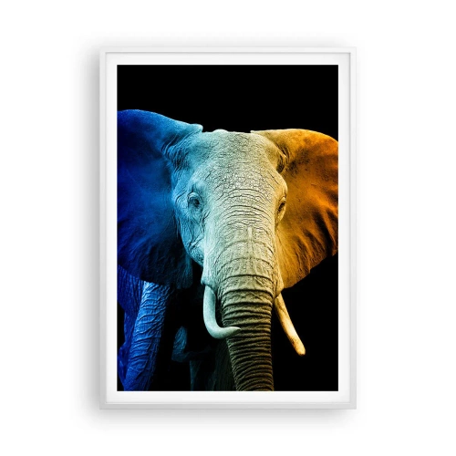 Affisch i vit ram - Excentriker, ej kuf - 70x100 cm