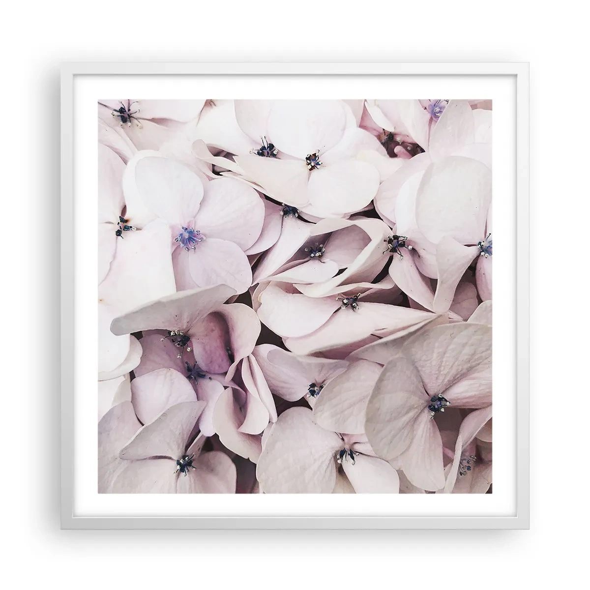 Affisch i vit ram - I en flod av blommor - 60x60 cm