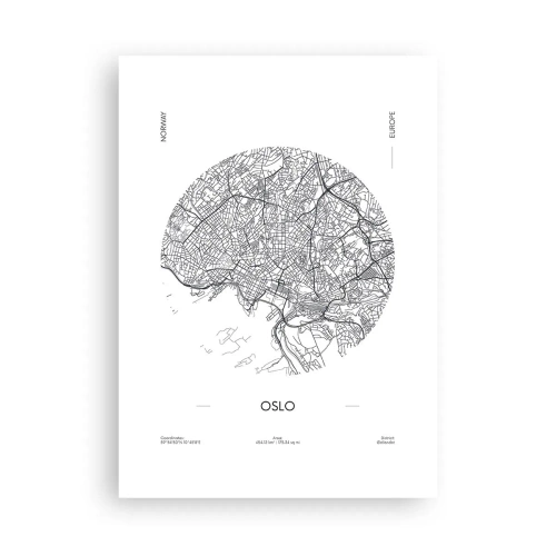 Affisch - Oslos anatomi - 50x70 cm