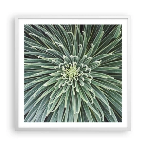 Affisch i vit ram - Stjärna föds - 60x60 cm