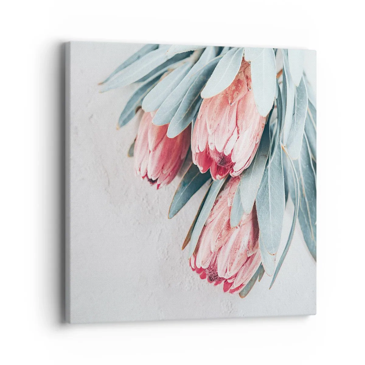 Canvastavla - Bild på duk - Generad av sin skönhet - 40x40 cm