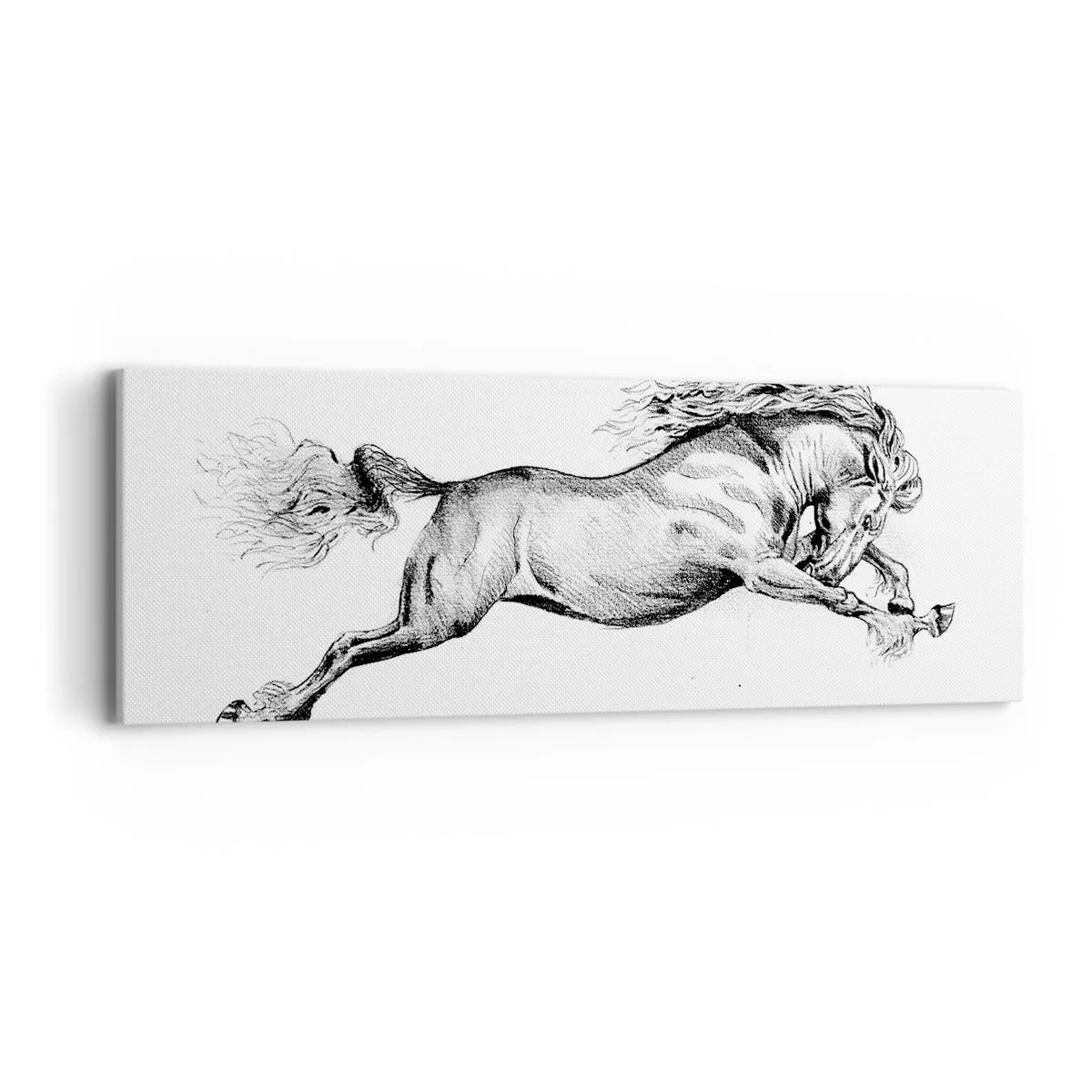 Canvastavla - Bild på duk - Fångad i galopplopp - 90x30 cm