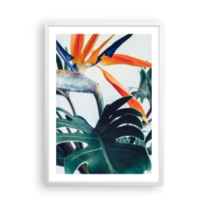 Affisch i vit ram - Fågelbuske - 50x70 cm