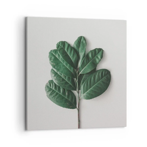 Canvastavla - Bild på duk - Själva naturens bild - 50x50 cm