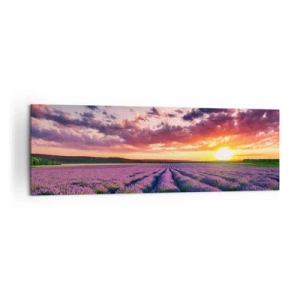 Canvastavla - Bild på duk - Lavandelvärld - 160x50 cm