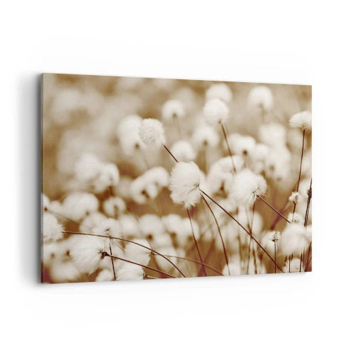 Canvastavla - Bild på duk - Fluffig åkermark - 100x70 cm