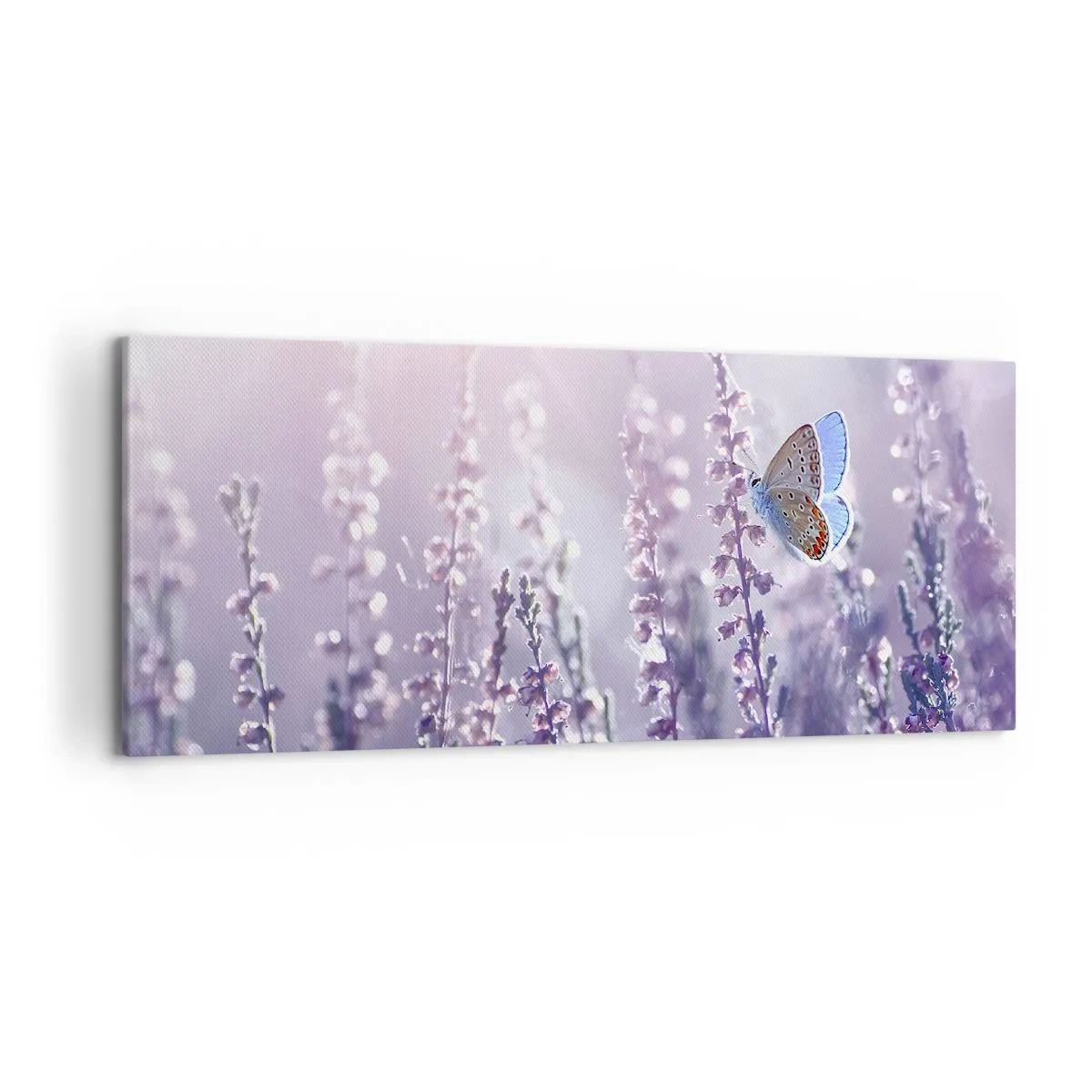 Canvastavla - Bild på duk - En fjärils kyss - 120x50 cm