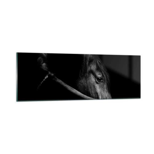 Glastavla - Bild på glas - Svart prins - 90x30 cm