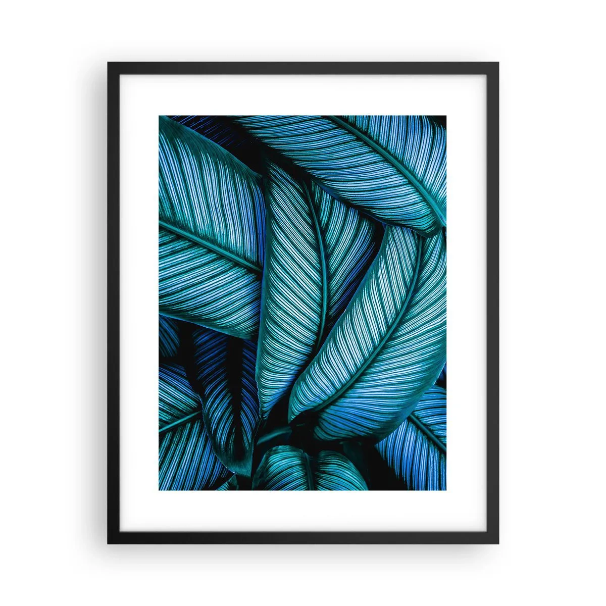 Affisch i svart ram - Livslinjer - 40x50 cm