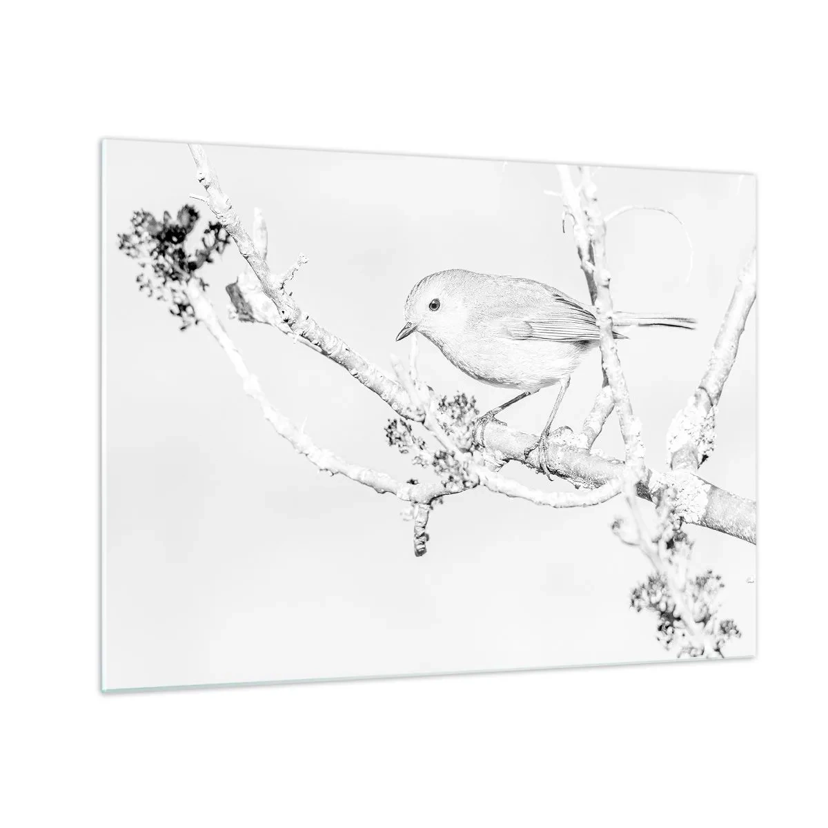 Glastavla - Bild på glas - En fågel sittande på en gren i en monokromatisk vinterscen. - 70x50cm - Vintermorgon - Modern väggdekoration för vardagsrum och sovrum ARTTOR