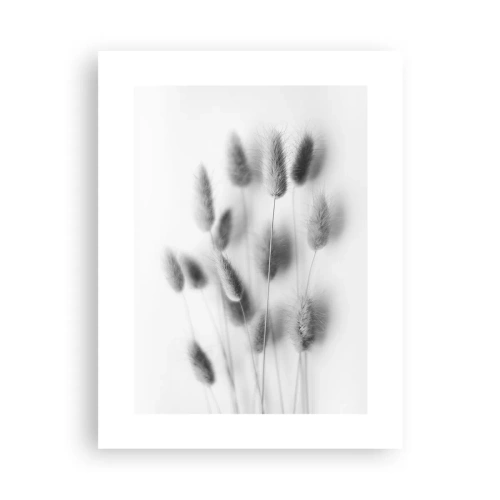 Affisch - Fluffigt gräs - 30x40 cm