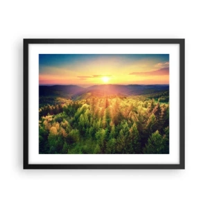 Affisch i svart ram - Trädtoppar och bergstoppar - 50x40 cm