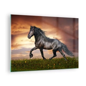 Glastavla - Bild på glas - En svart häst galopperar mot den nedgående solen - 70x50cm - Svarta prinsen - Modern väggdekoration för vardagsrum och sovrum ARTTOR