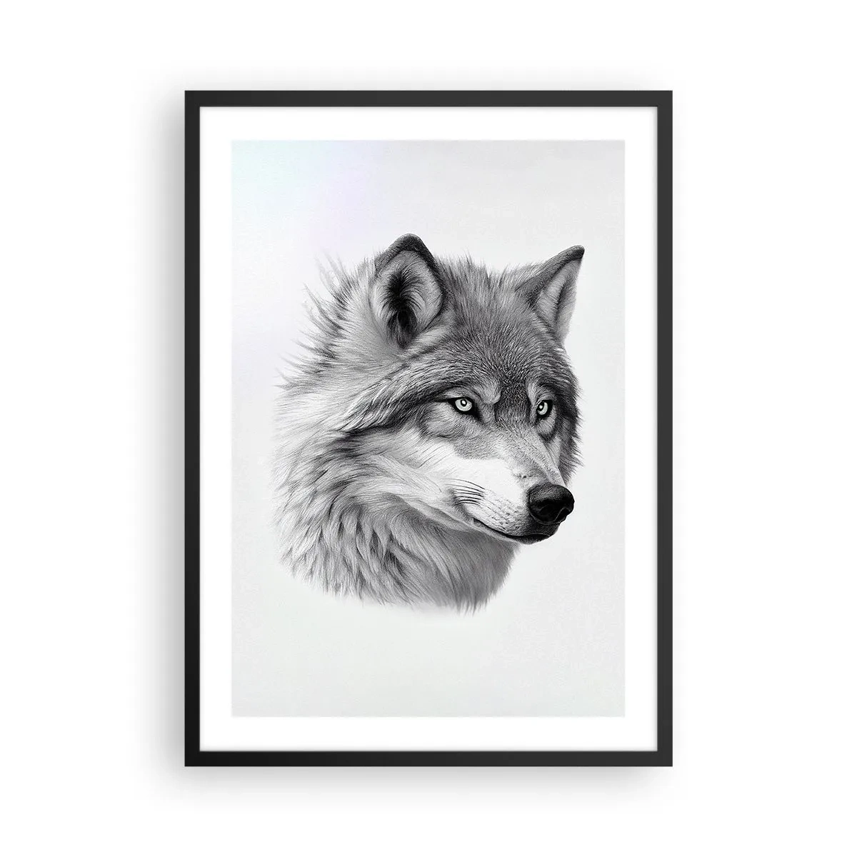 Affisch i svart ram - Ett realistiskt porträtt av en varg i grå nyanser. - 50x70cm - Alfa - utan tvekan - Modern väggdekoration för vardagsrum och sovrum ARTTOR