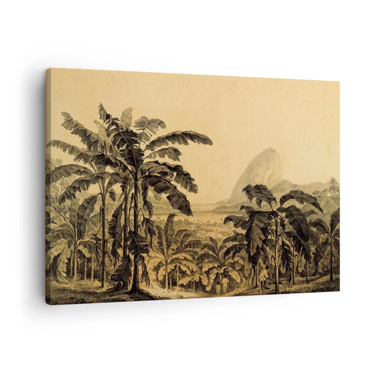 Canvastavla - Bild på duk - Ritning av bananträd mot en tropisk landskapsbakgrund - 70x50cm - I kolonial stämning - Modern väggdekoration för vardagsrum och sovrum ARTTOR