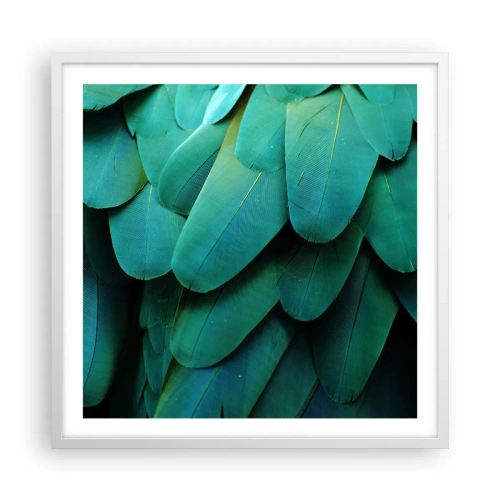Affisch i vit ram - Precision av papegojans natur - 60x60 cm