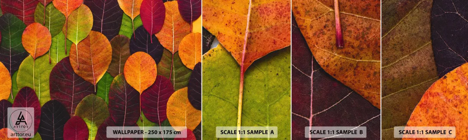 Fototapet Prov Standard Eco - Höstmosaik - Grafik, Färgglada löv, Bit - 100x30 cm