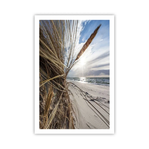 Affisch - Elementens möte - 61x91 cm