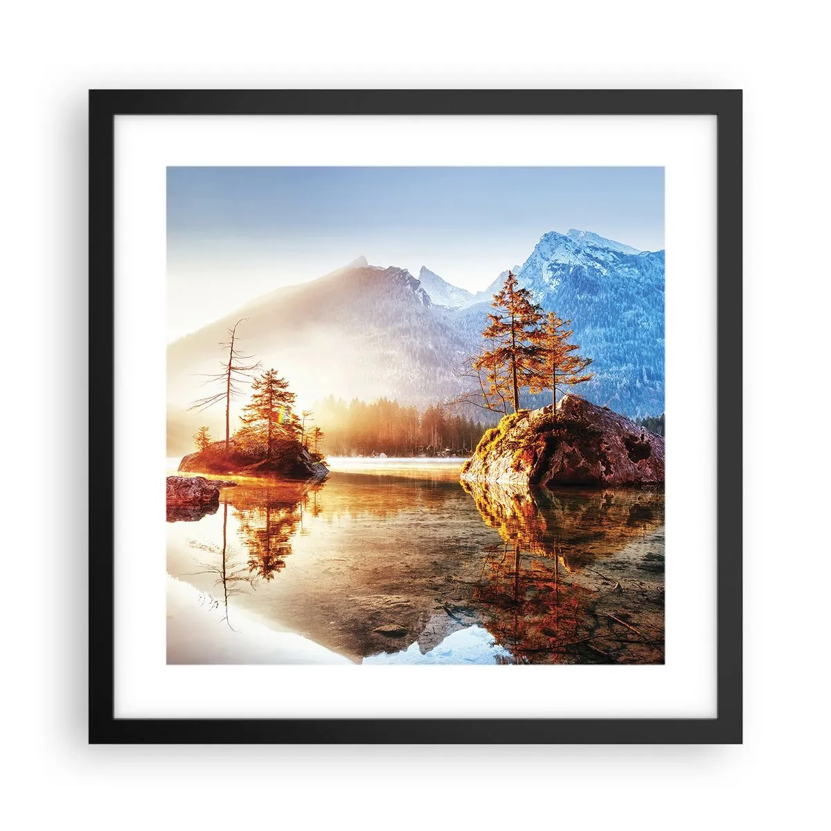 Affisch i svart ram - Naturen i ett nytt ljus - 40x40 cm