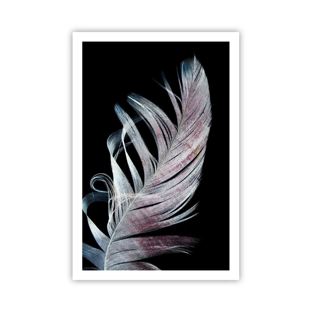 Affisch - Tänk på smekning - 61x91 cm