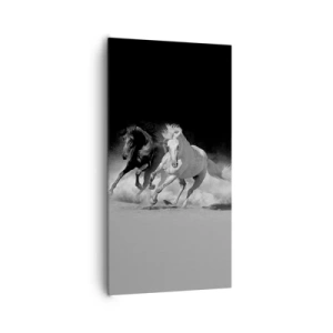 Canvastavla - Bild på duk - Frihetens galopp - 65x120 cm