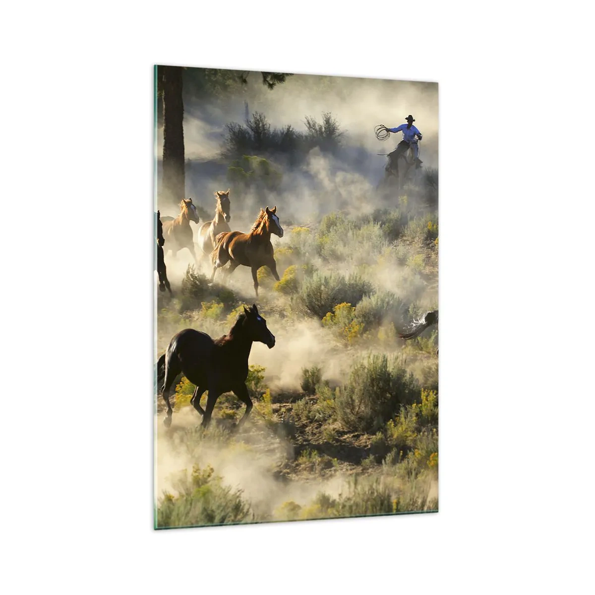 Glastavla - Bild på glas - Tävlande - frihet eller manlig styrka? - 70x100 cm