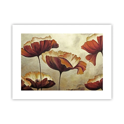 Affisch - Ängsblommor - 40x30 cm