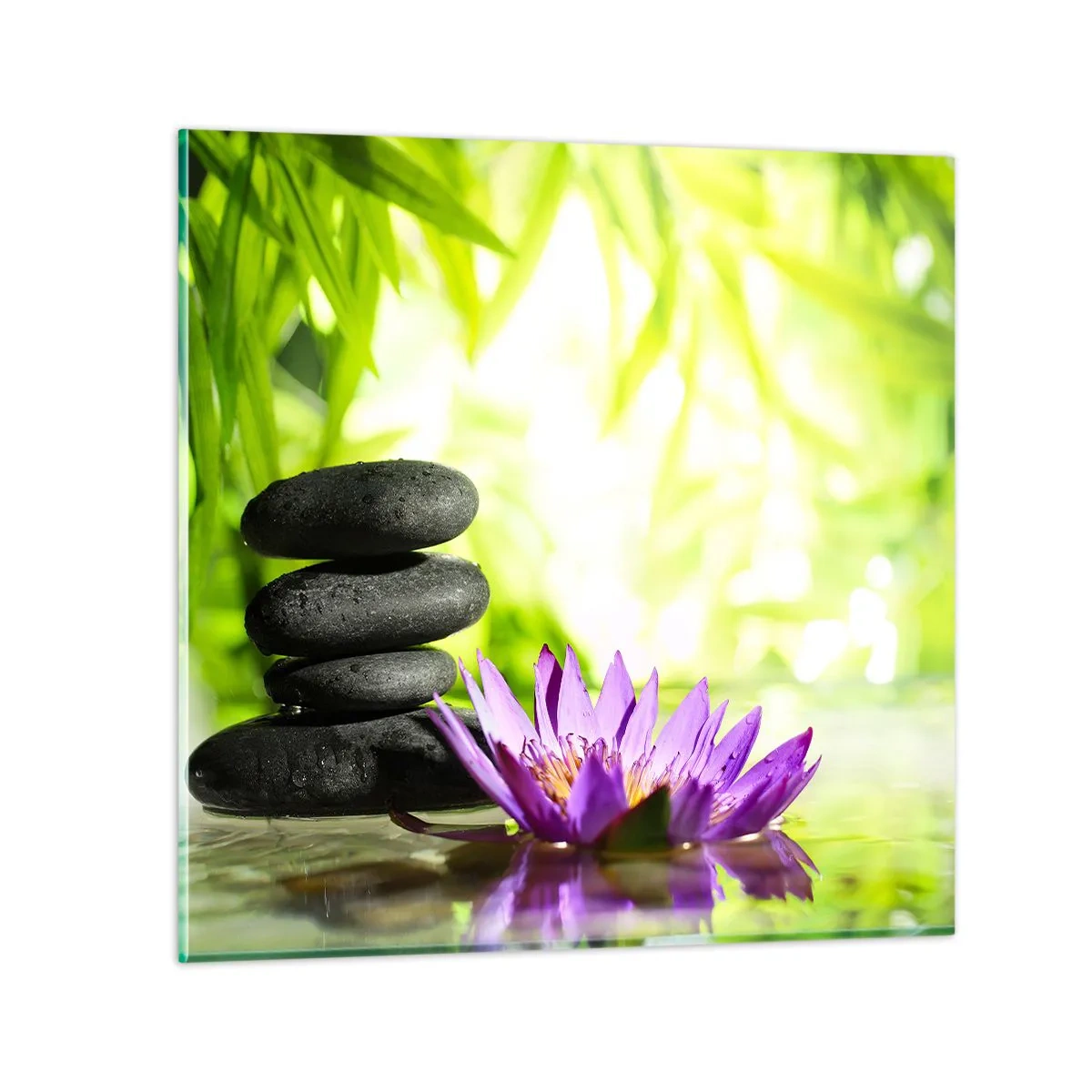 Glastavla - Bild på glas - I en bambushage - 60x60 cm