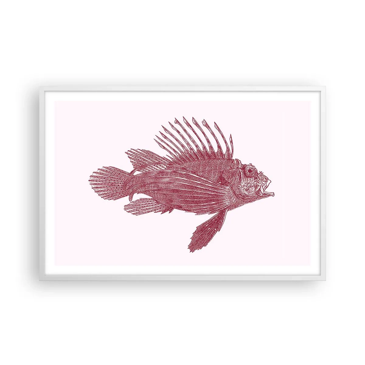 Affisch i vit ram - En invånare i exotiska vatten - 91x61 cm