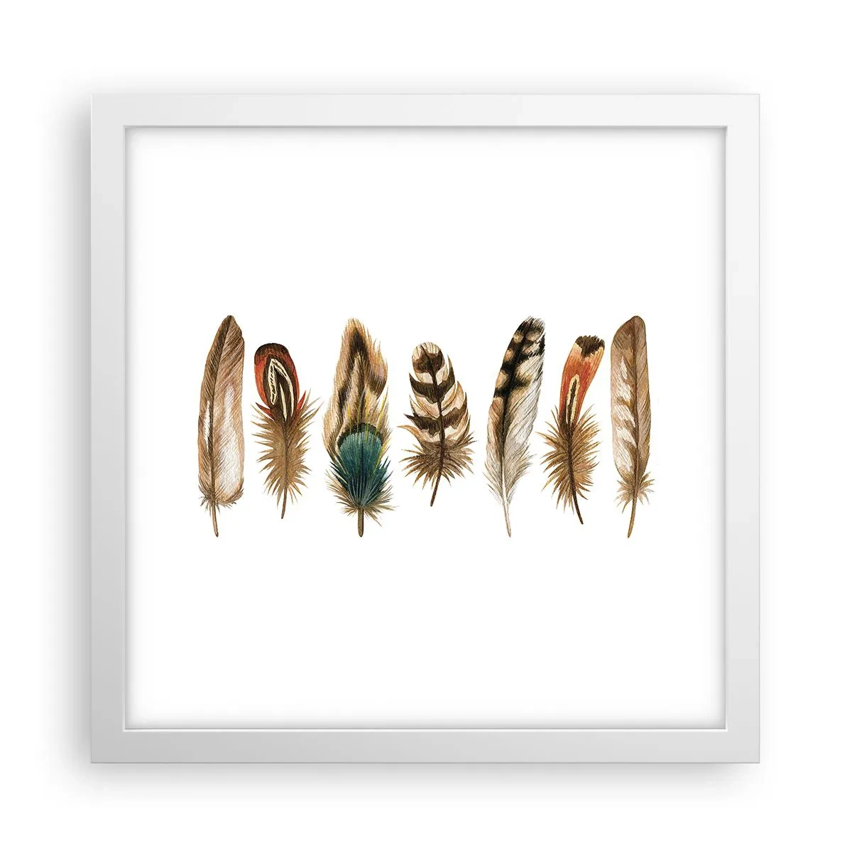Affisch i vit ram - Fjädervariation - 30x30 cm