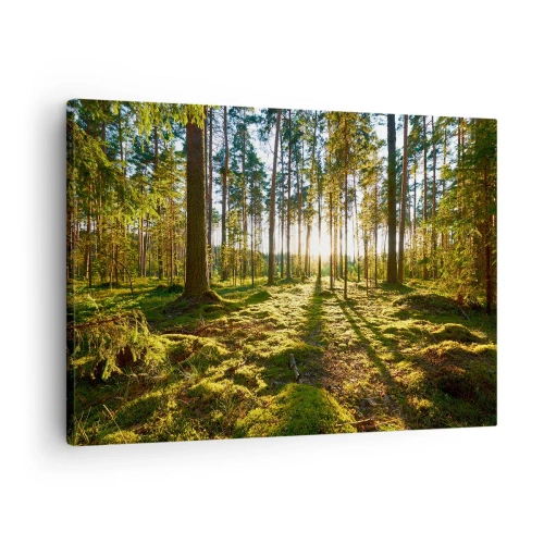 Canvastavla - Bild på duk - Grön skog upplyst av solljus på mossan - 70x50cm - ...Bortom sjunde skogen - Modern väggdekoration för vardagsrum och sovrum ARTTOR