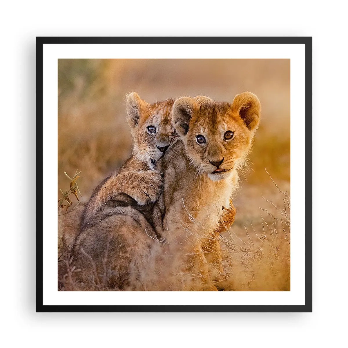 Affisch i svart ram - Stör inte! Vi har kul - 60x60 cm