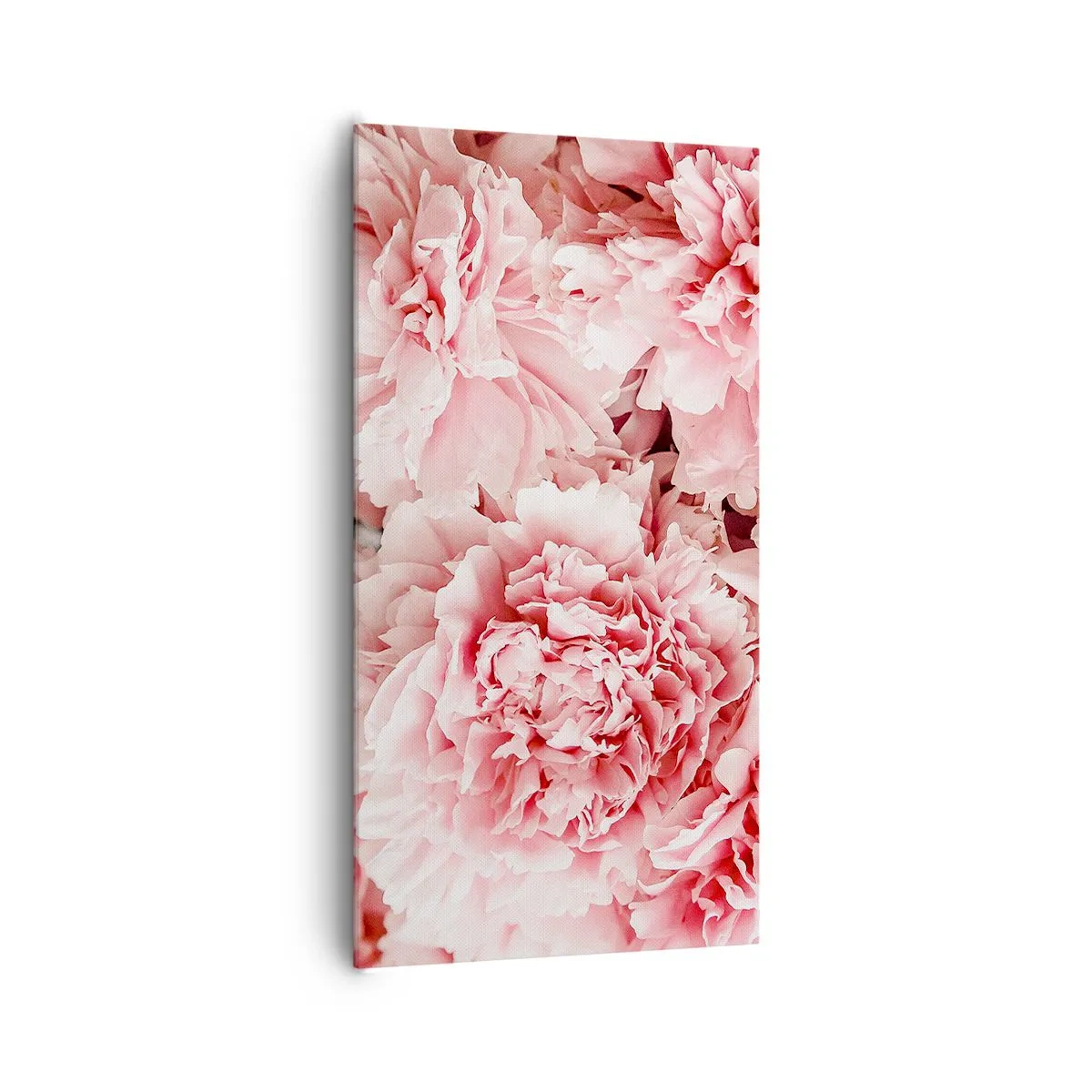 Canvastavla - Bild på duk - Rosa dröm - 65x120 cm